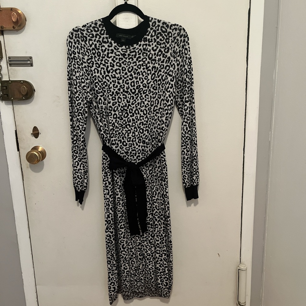 Ann Taylor Printed Sweater Dress | Sz. Small | Worn once
